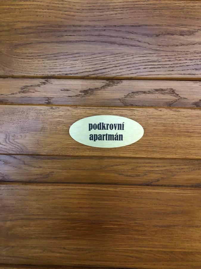 Apartmany U Vleku - Podkrovni Apartman Karlova Studánka 외부 사진